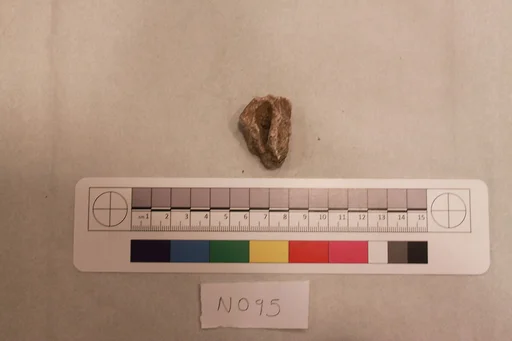 Stucco Fragment