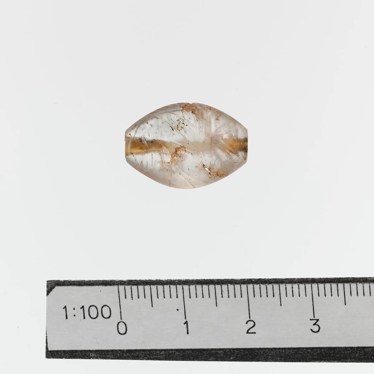 Seal — Unknown