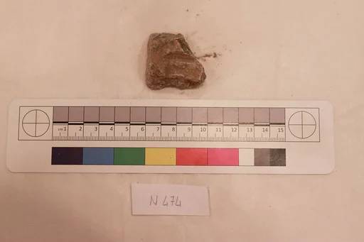 Stucco Fragment