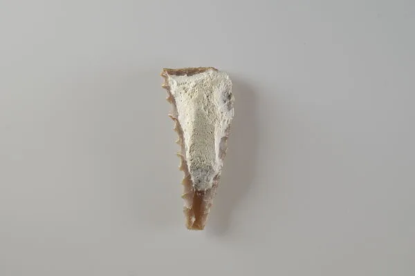 Sickle Insert — Unknown