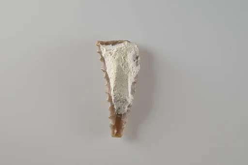 Sickle Insert