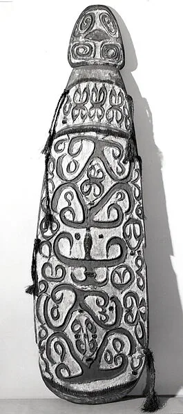 Shield — Unknown