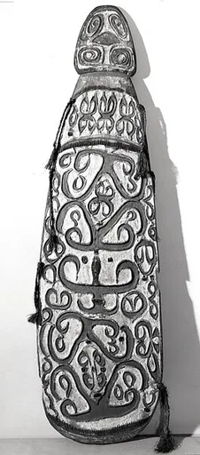 Shield