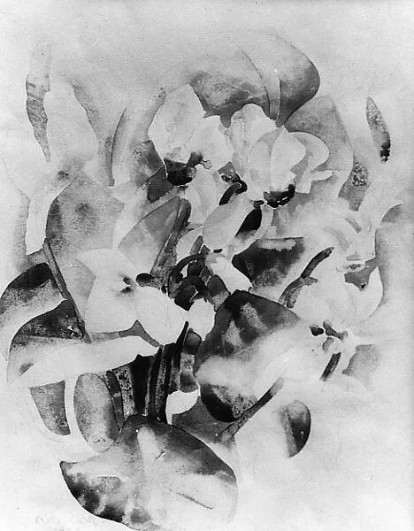 Cyclamen — Charles Demuth