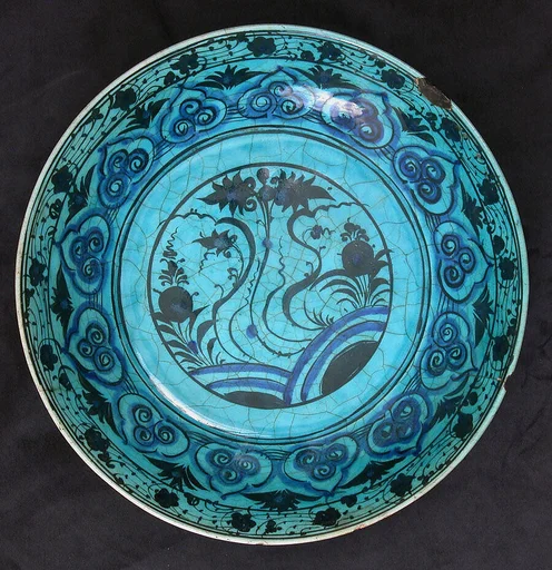 Dish