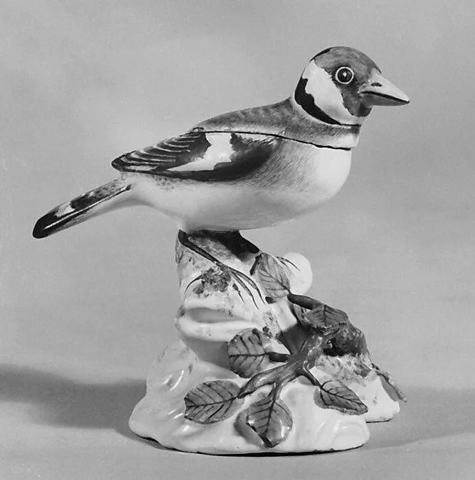 Linnet — Unknown