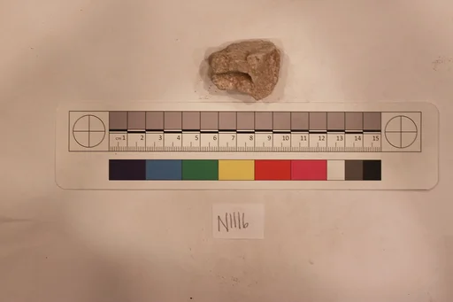 Stucco Fragment