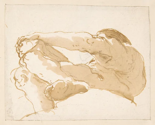 Seated Man Turned Towards the Left Seen from Below
