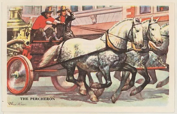 The Percheron, bakery card from the Horses series (D39-5), issued by the Gordon Bread Company — Gordon Bread Company