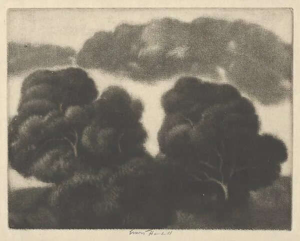 Hill of Oaks — Ernest Haskell