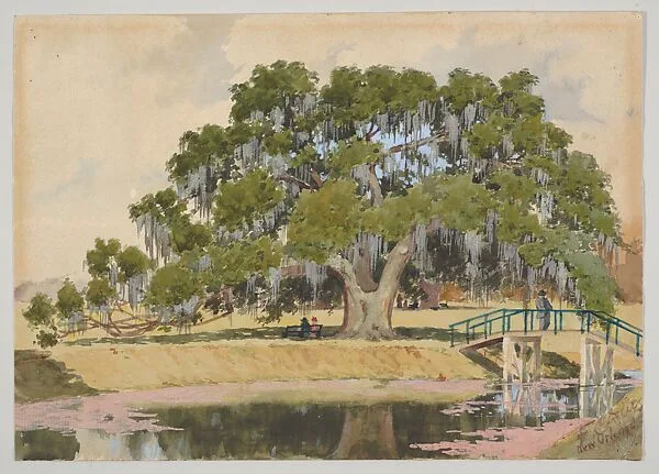 The Washington Live Oak, New Orleans — F. C. Dwyer