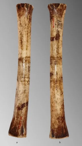 Bone flute