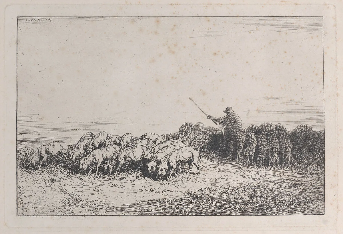 A Herd of Pigs — Charles Jacque
