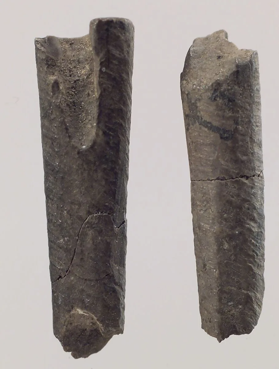 Two dowels from a chair (?) — Unknown