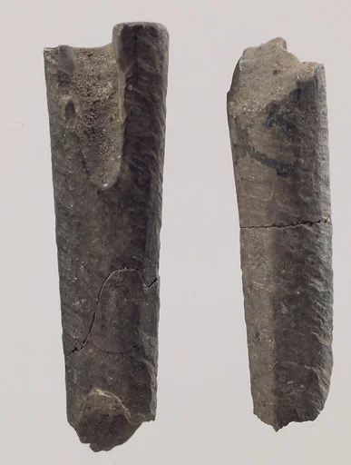 Two dowels from a chair (?)