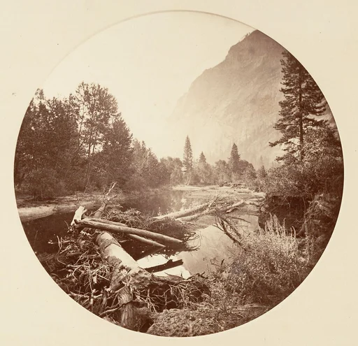 [Yosemite National Park, California]