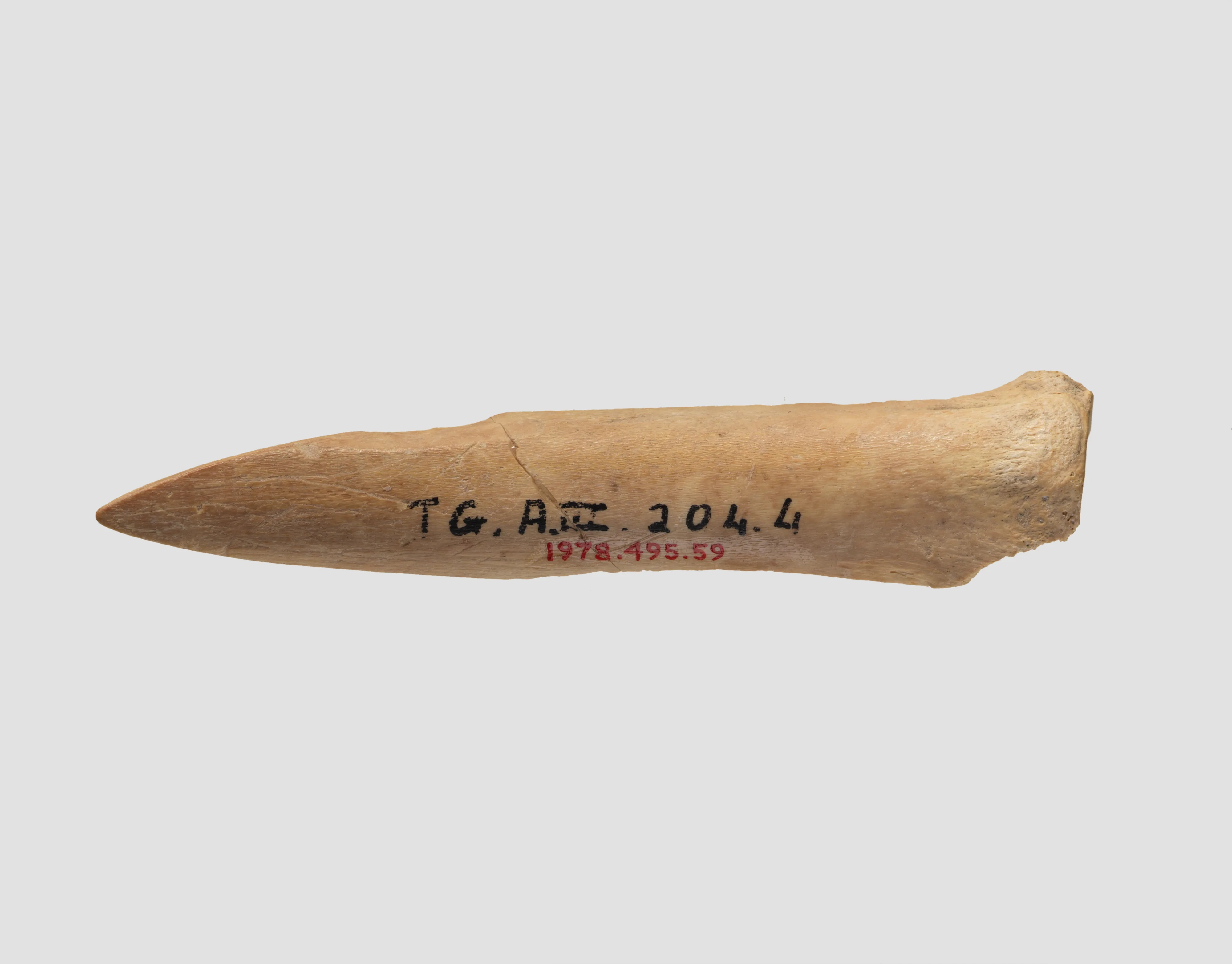 Awl (?) — Unknown