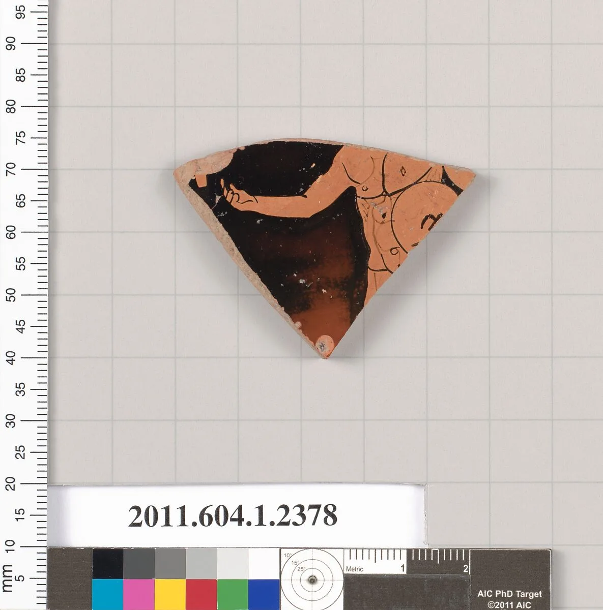 Terracotta fragment of a kylix (drinking cup) — Unknown