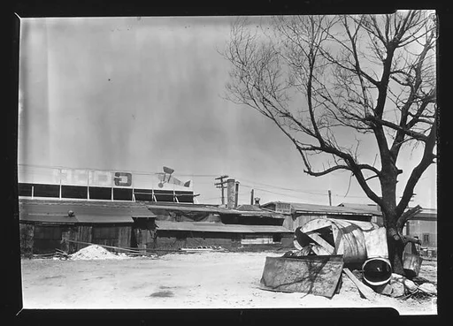 [Back View of Roadside Stores with Tree and Garbage in Foreground]