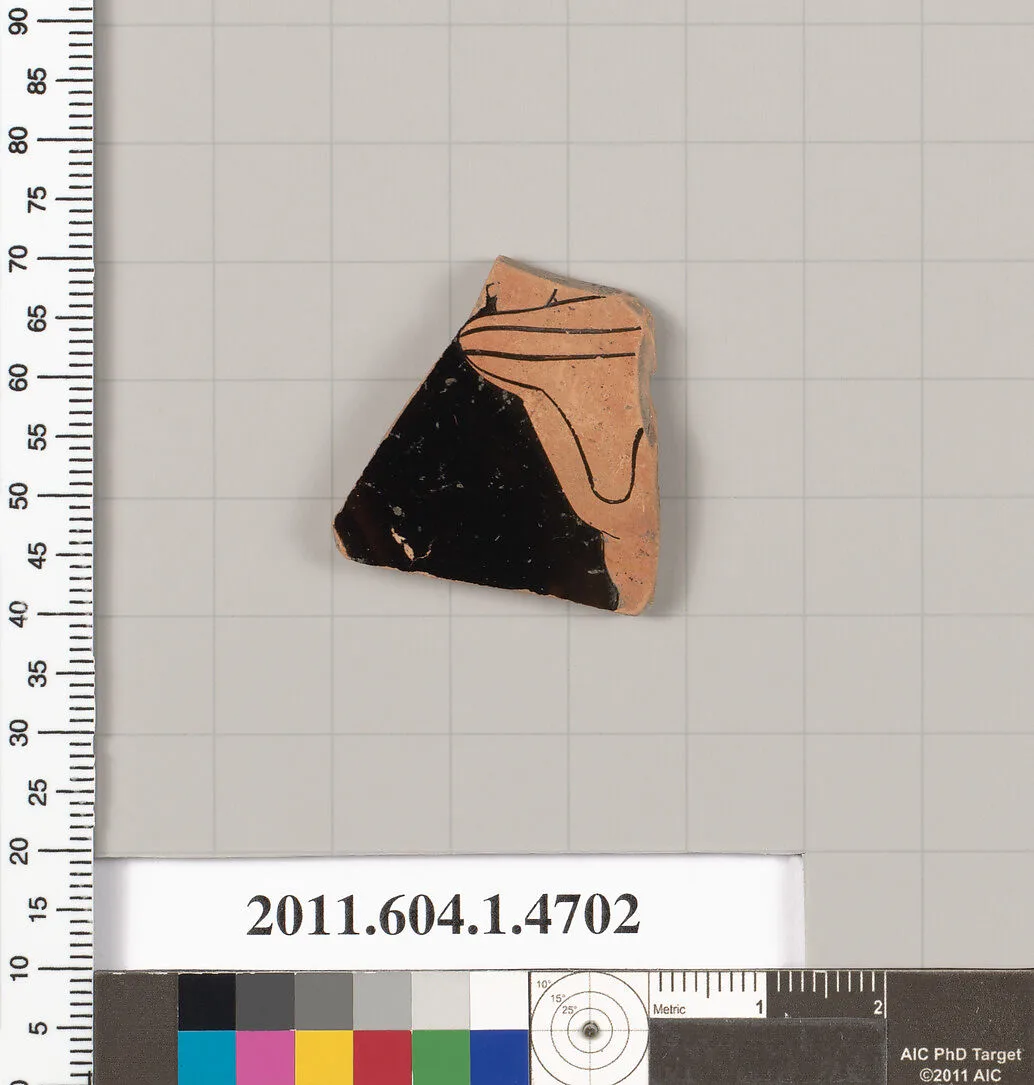 Terracotta fragment of a kylix (drinking cup) — Unknown