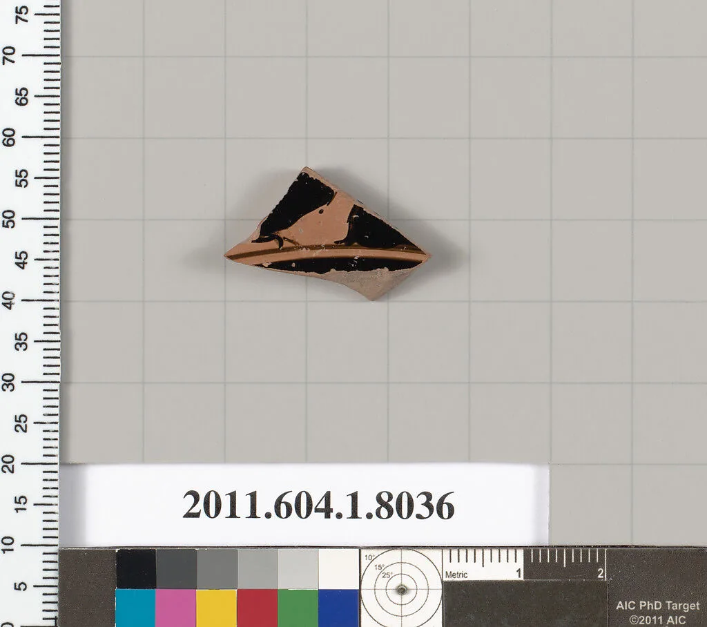 Terracotta fragment of a kylix (drinking cup) — Unknown