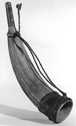 Horn