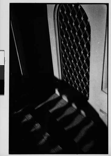 [Abstraction with Shadow and Grating Patterns]