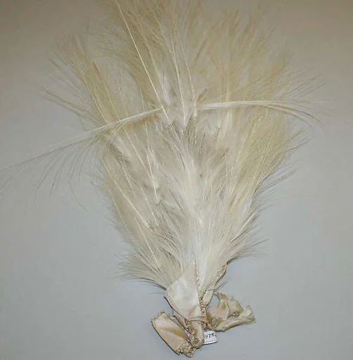 Aigrette