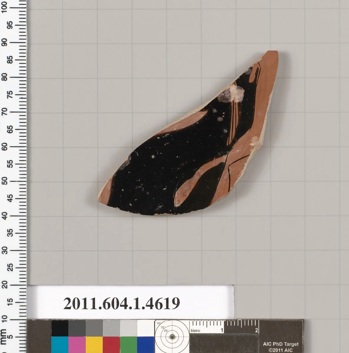Terracotta fragment of a kylix (drinking cup) — Oltos