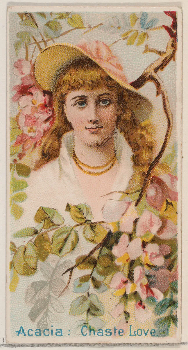Acacia: Chaste Love, from the series Floral Beauties and Language of Flowers (N75) for Duke brand cigarettes — Donaldson Brothers|American Tobacco Company