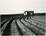 Childress County, Texas — Dorothea Lange