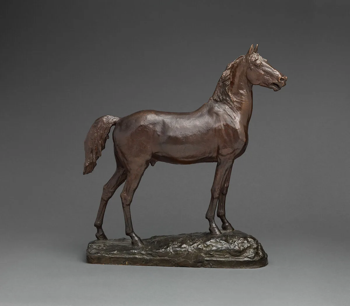 Study of the Horse for the Statue of Major General George Henry Thomas — John Quincy Adams Ward