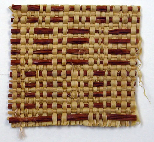 Panel Fragment