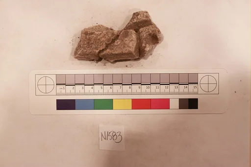 Stucco Fragment