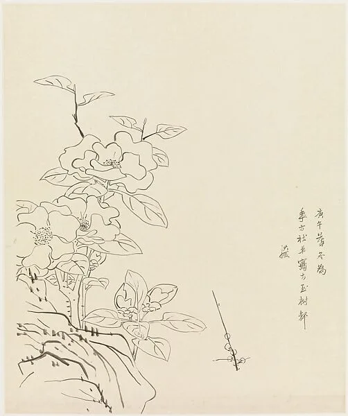 現代 謝稚柳 臨陳洪綬山茶秀石圖 鏡片|Camellia and Rock, after Chen Hongshou — Xie Zhiliu