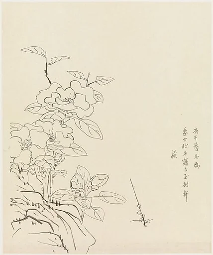現代 謝稚柳 臨陳洪綬山茶秀石圖 鏡片|Camellia and Rock, after Chen Hongshou