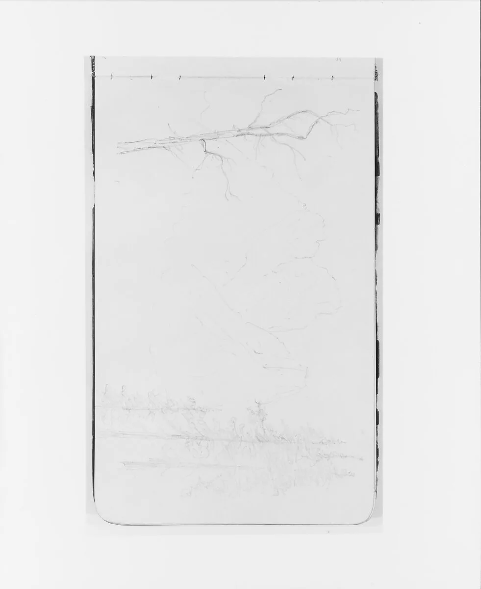 Canadian Landscape with Mountains and Trees (from Sketchbook) — Albert Bierstadt