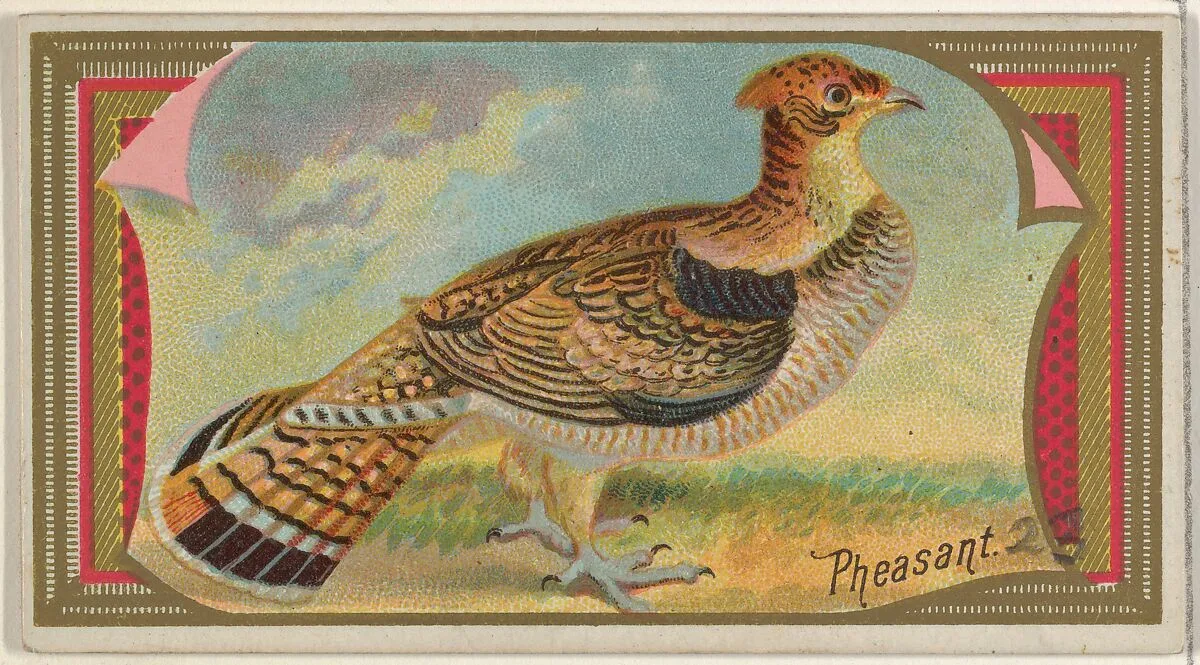 Pheasant, from the Game Birds series (N13) for Allen & Ginter Cigarettes Brands — Allen & Ginter|George S. Harris & Sons