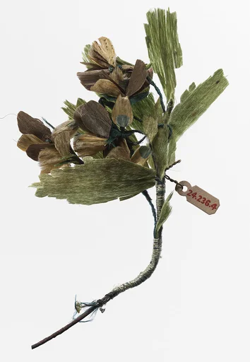 Boutonnière