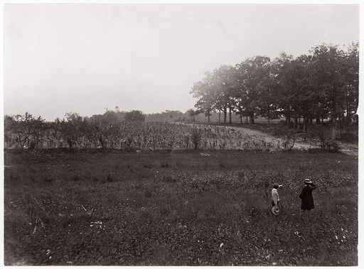[Battlefield of Gettysburg, Pennsylvania (Scene of General Reynold's Death, The Eastern Edge of McPherson's Woods, view looking toward Seminary Ridge)]