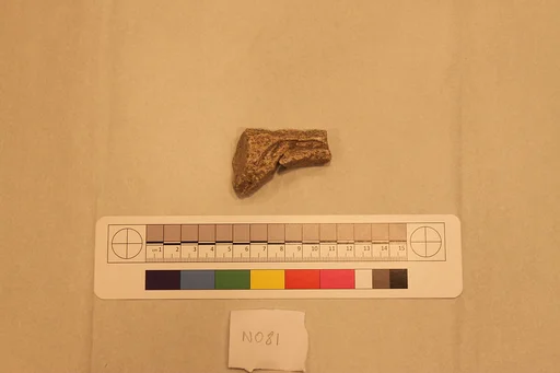 Stucco Fragment