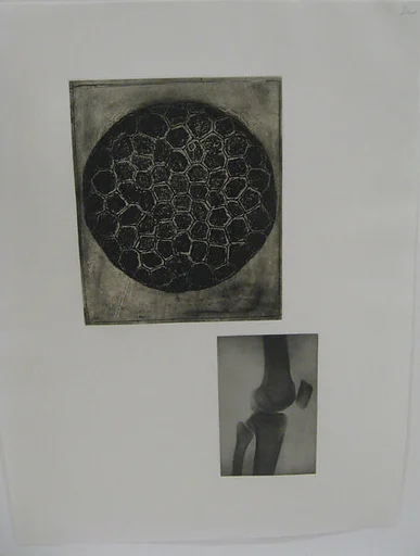 Fourteen Etchings 13, from the ¦Fourteen Etchings¦ portfolio