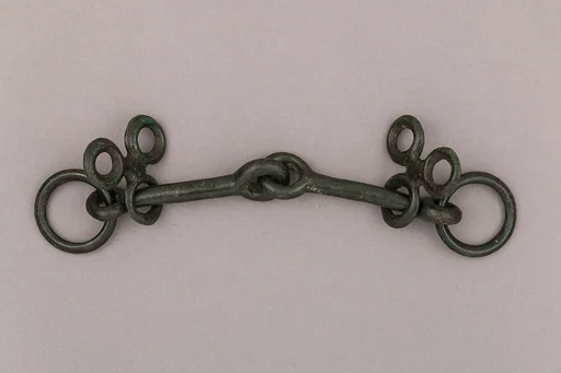 Snaffle Bit