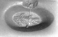 Stamp seal