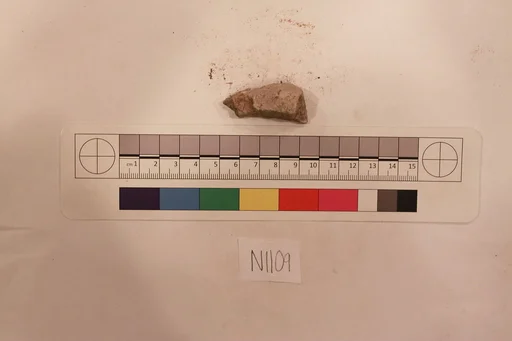 Stucco Fragment