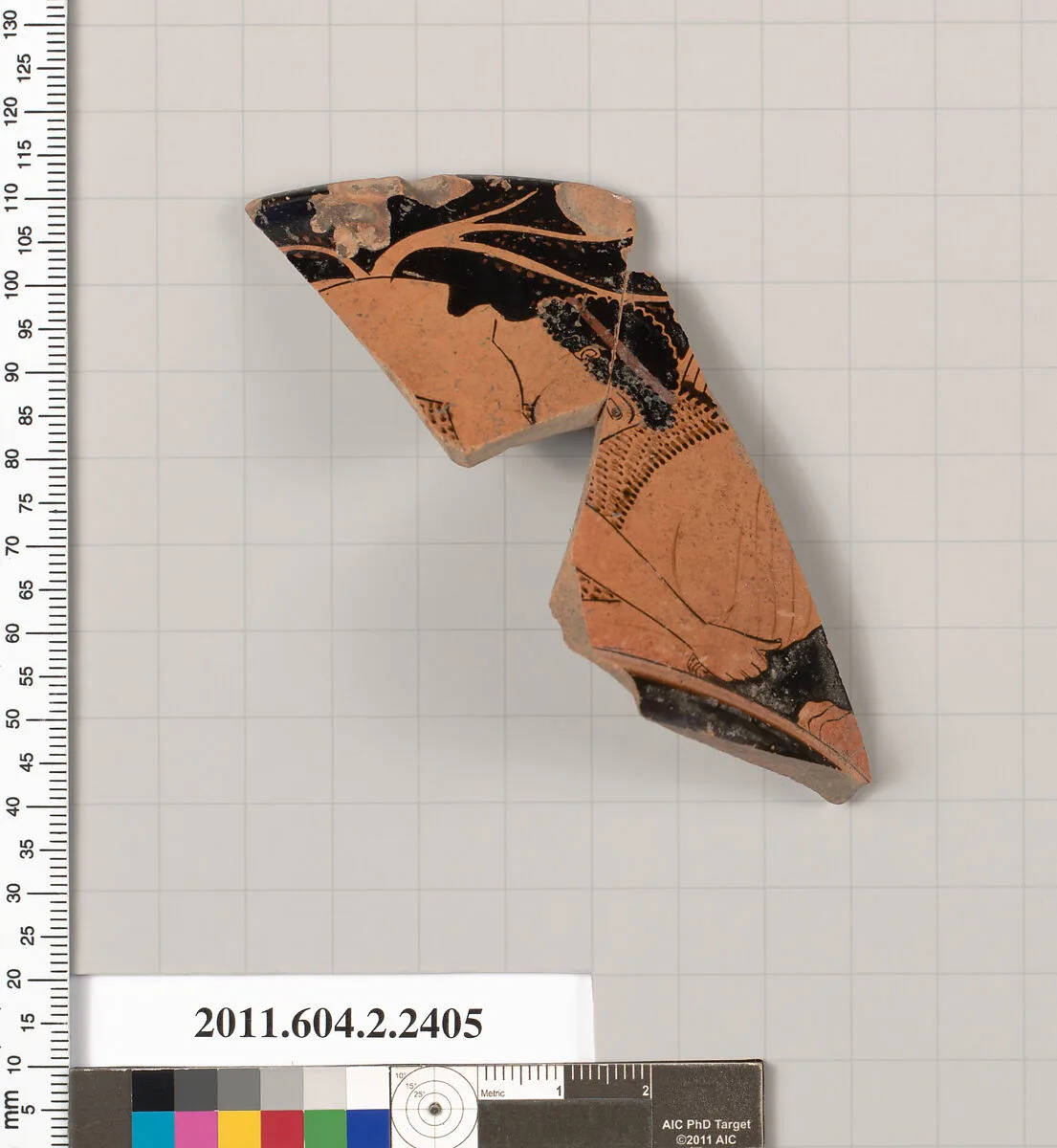 Terracotta fragment of a rhyton (vase for libations or drinking) — Unknown