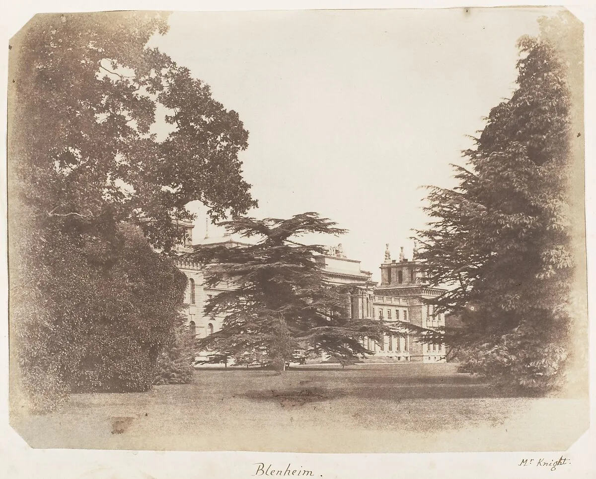 Blenheim — James Knight