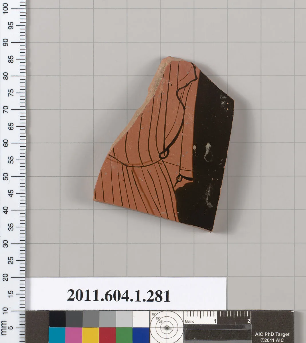 Terracotta fragment of a kylix (drinking cup) — Unknown