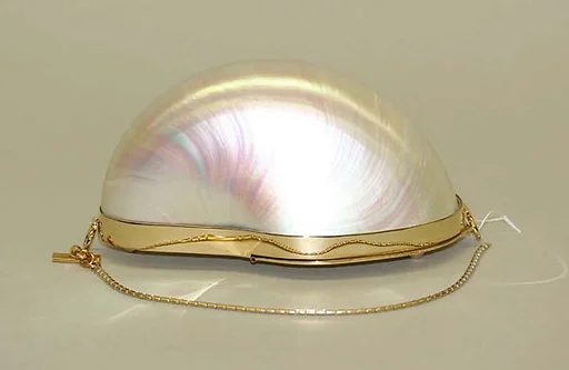 Evening bag