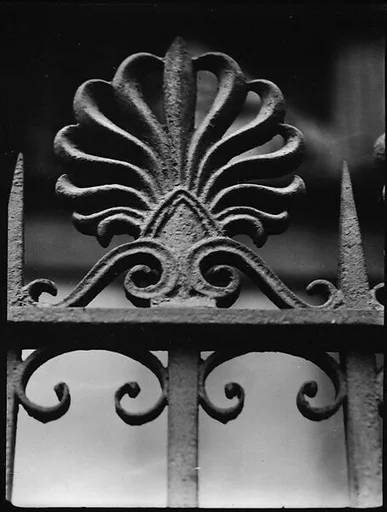[Cast-Iron Fence Detail of Palmette, Possibly New Orleans, Louisiana]